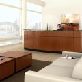 Friant reception furniture austin