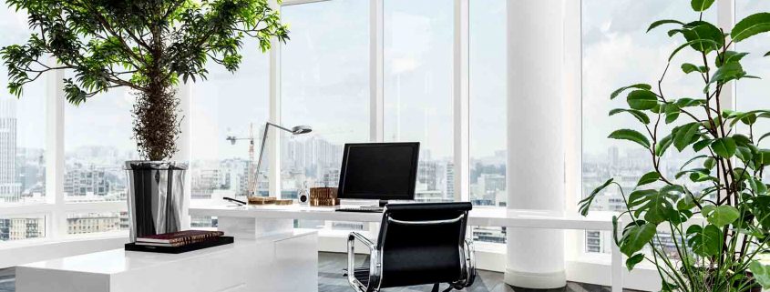 minimalist office design