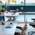 Knoll Antennae Workspaces