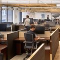 Knoll Ref Profiles